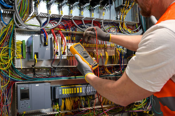 Best Electrician for Home Renovation  in Neodesha, KS